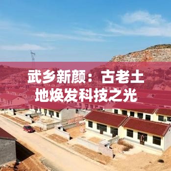 其他配件采购 第389页