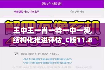 王中王一肖一特一中一澳,结构化推进评估_C版11.815