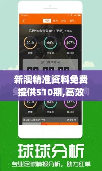 新澳精准资料免费提供510期,高效解析说明_Elite55.211-8