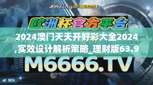 2024澳门天天开好彩大全2024,实效设计解析策略_理财版63.923-6