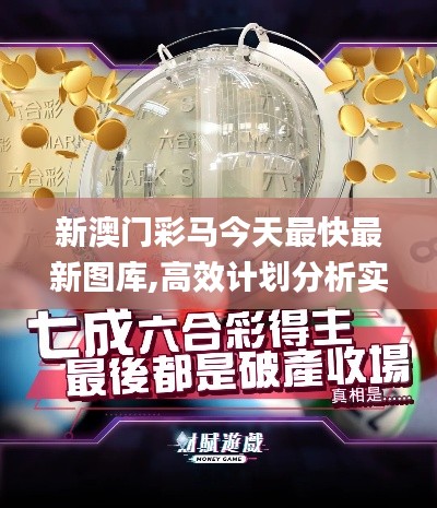 新澳门彩马今天最快最新图库,高效计划分析实施_铂金版80.632-5
