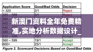 新澳门资料全年免费精准,实地分析数据设计_AP70.321-5