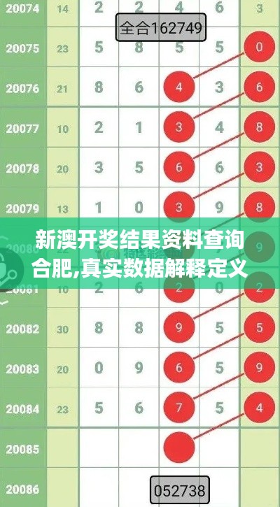 新澳开奖结果资料查询合肥,真实数据解释定义_W21.513-7