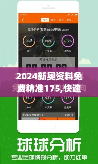 2024新奥资料免费精准175,快速计划设计解答_黄金版99.906-6