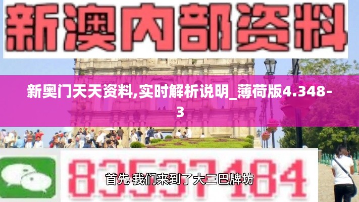新奥门天天资料,实时解析说明_薄荷版4.348-3