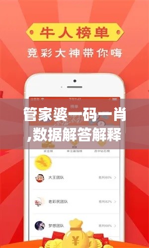 管家婆一码一肖,数据解答解释定义_VIP72.313-7