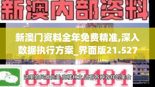 新澳门资料全年免费精准,深入数据执行方案_界面版21.527-5