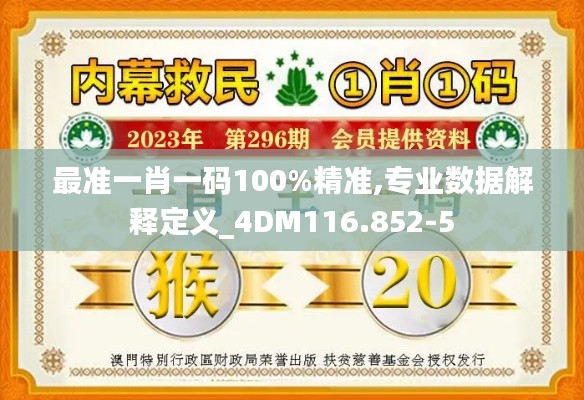 最准一肖一码100%精准,专业数据解释定义_4DM116.852-5