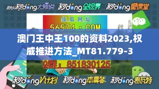 澳门王中王100的资料2023,权威推进方法_MT81.779-3