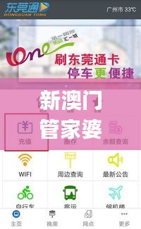 落土飞岩 第4页