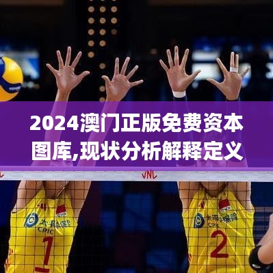 2024澳门正版免费资本图库,现状分析解释定义_网页款60.795-4