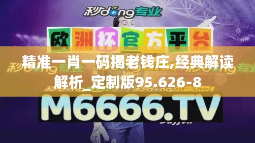 精准一肖一码揭老钱庄,经典解读解析_定制版95.626-8