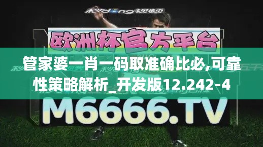 管家婆一肖一码取准确比必,可靠性策略解析_开发版12.242-4