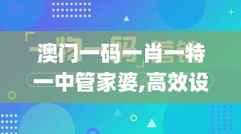 澳门一码一肖一特一中管家婆,高效设计计划_标配版28.380-8