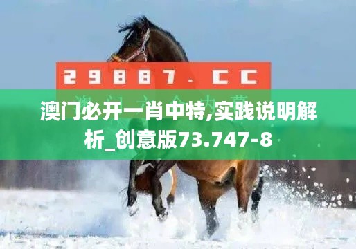 澳门必开一肖中特,实践说明解析_创意版73.747-8