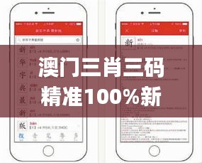 澳门三肖三码精准100%新华字典,持久性策略设计_ios23.197-2