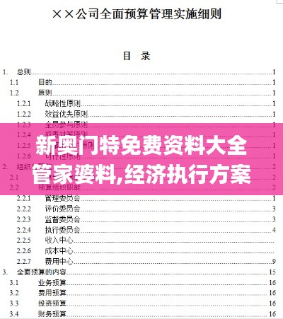 新奥门特免费资料大全管家婆料,经济执行方案分析_VIP32.455-8