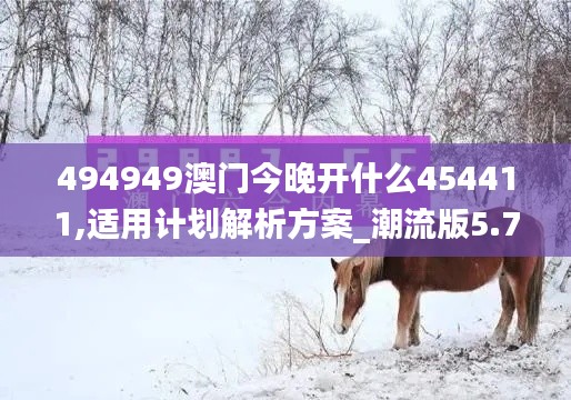494949澳门今晚开什么454411,适用计划解析方案_潮流版5.719-3