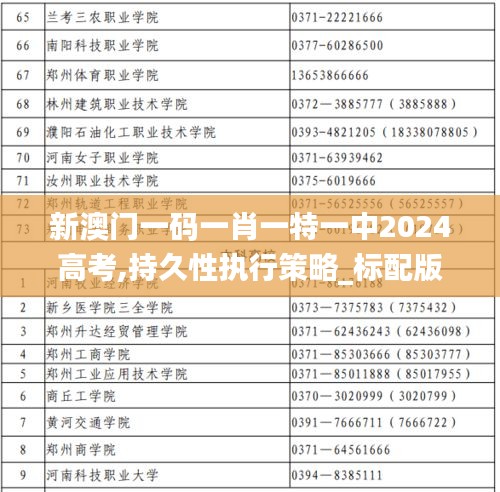 新澳门一码一肖一特一中2024高考,持久性执行策略_标配版66.731-1