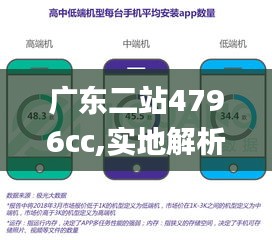 广东二站4796cc,实地解析数据考察_app4.900