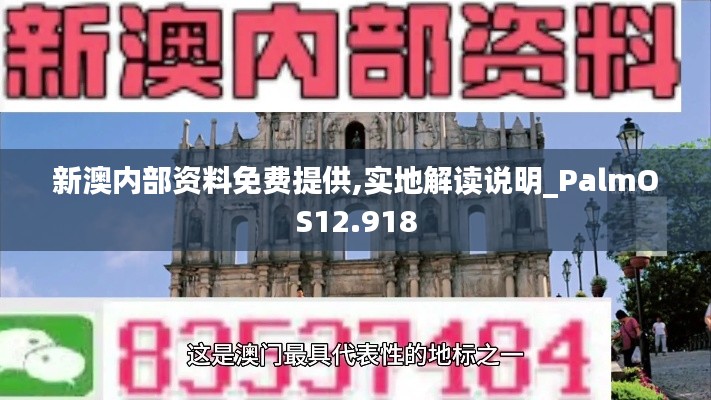 新澳内部资料免费提供,实地解读说明_PalmOS12.918