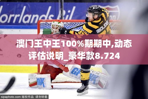 澳门王中王100%期期中,动态评估说明_豪华款8.724