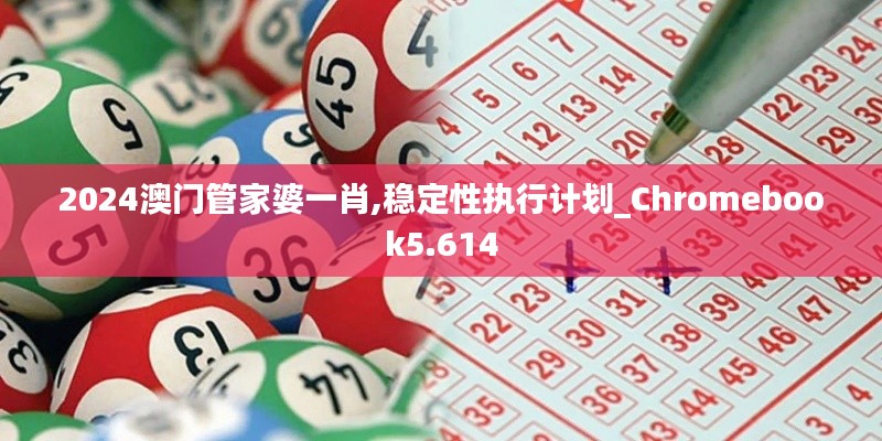2024澳门管家婆一肖,稳定性执行计划_Chromebook5.614