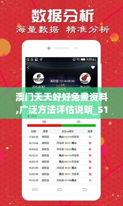 澳门天天好好兔费资料,广泛方法评估说明_S11.833