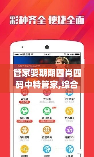 管家婆期期四肖四码中特管家,综合计划定义评估_LT10.447