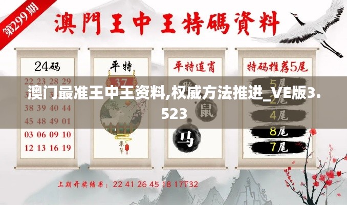 澳门最准王中王资料,权威方法推进_VE版3.523