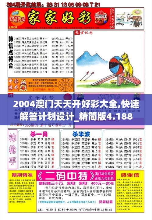 2004澳门天天开好彩大全,快速解答计划设计_精简版4.188