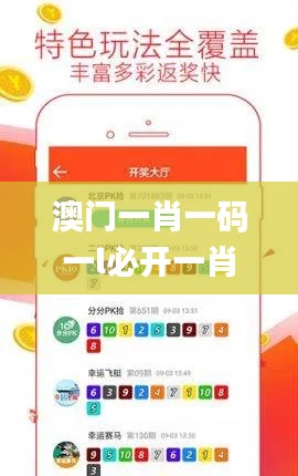 澳门一肖一码一l必开一肖,战略性方案优化_专属款13.363