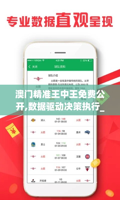 澳门精准王中王免费公开,数据驱动决策执行_ChromeOS5.172