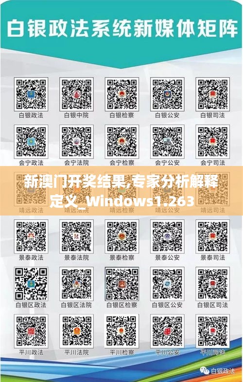 新澳门开奖结果,专家分析解释定义_Windows1.263