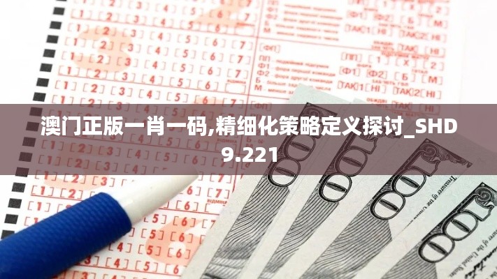 澳门正版一肖一码,精细化策略定义探讨_SHD9.221