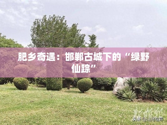 肥乡奇遇：邯郸古城下的“绿野仙踪”