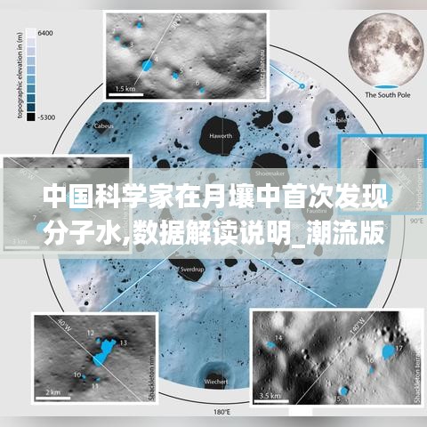 张袂成阴 第4页