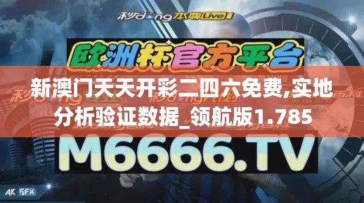 新澳门天天开彩二四六免费,实地分析验证数据_领航版1.785