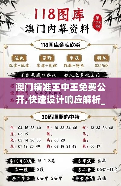 澳门精准王中王免费公开,快速设计响应解析_Prime9.796
