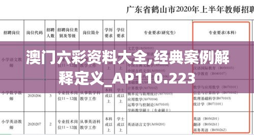 澳门六彩资料大全,经典案例解释定义_AP110.223