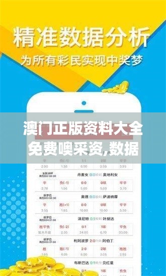 澳门正版资料大全免费噢采资,数据导向方案设计_免费版19.281