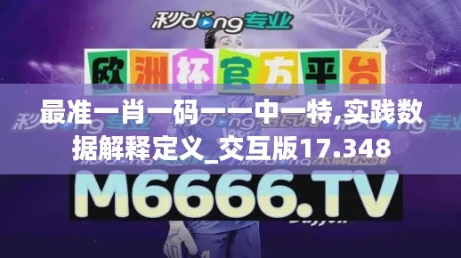 最准一肖一码一一中一特,实践数据解释定义_交互版17.348