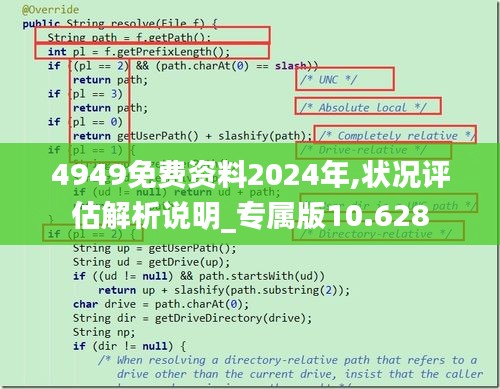 4949免费资料2024年,状况评估解析说明_专属版10.628
