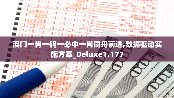 澳门一肖一码一必中一肖同舟前进,数据驱动实施方案_Deluxe1.177