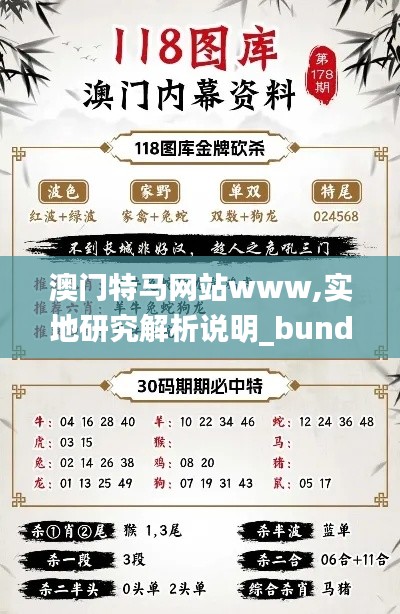 澳门特马网站www,实地研究解析说明_bundle1.203