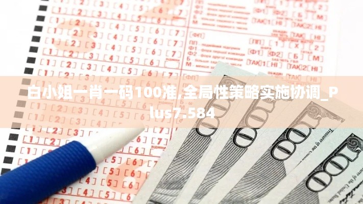 白小姐一肖一码100准,全局性策略实施协调_Plus7.584