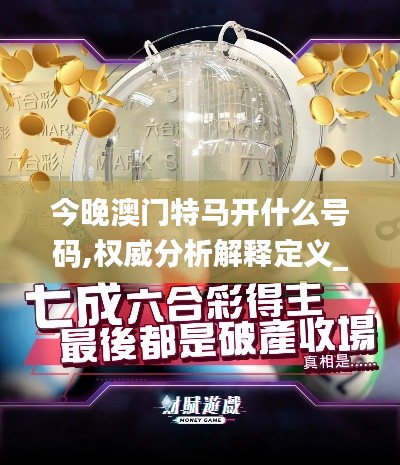 今晚澳门特马开什么号码,权威分析解释定义_挑战款17.793