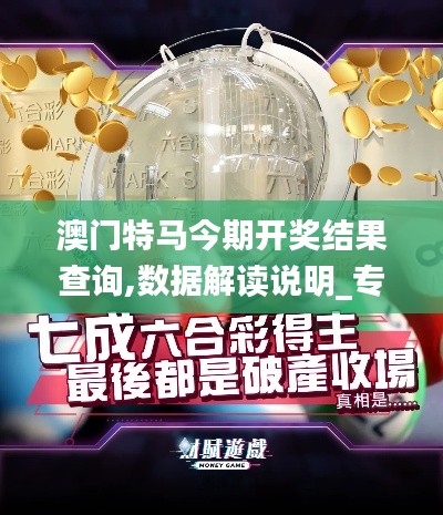 澳门特马今期开奖结果查询,数据解读说明_专属款2.916