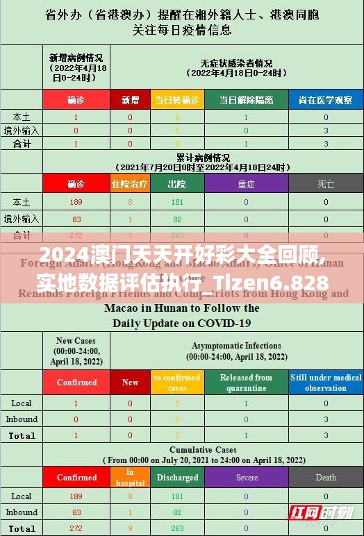 2024澳门天天开好彩大全回顾,实地数据评估执行_Tizen6.828