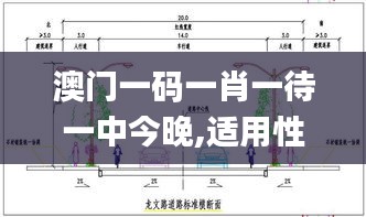澳门一码一肖一待一中今晚,适用性策略设计_FT8.505